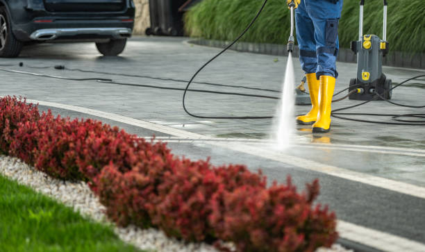 Best Patio and Deck Pressure Washing  in Scotland Neck, NC